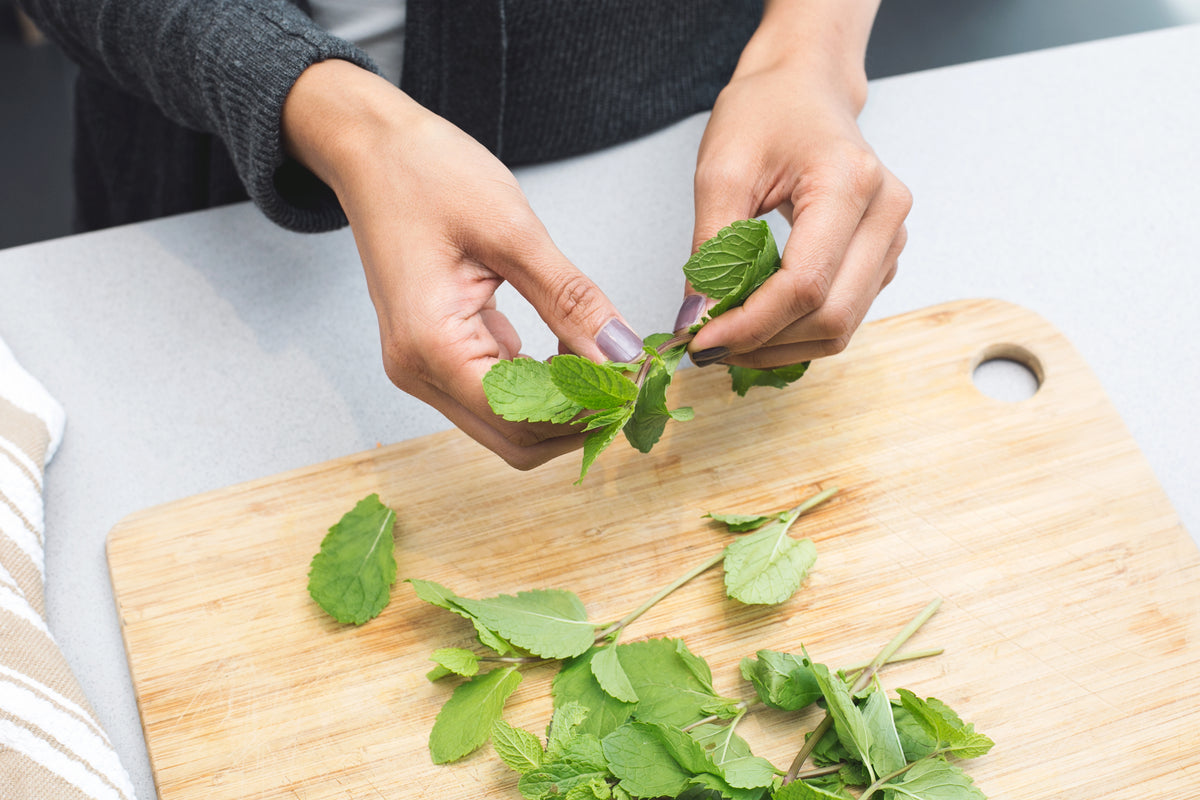 The Well Being Plate moringa powder packet with fresh moringa leaves
